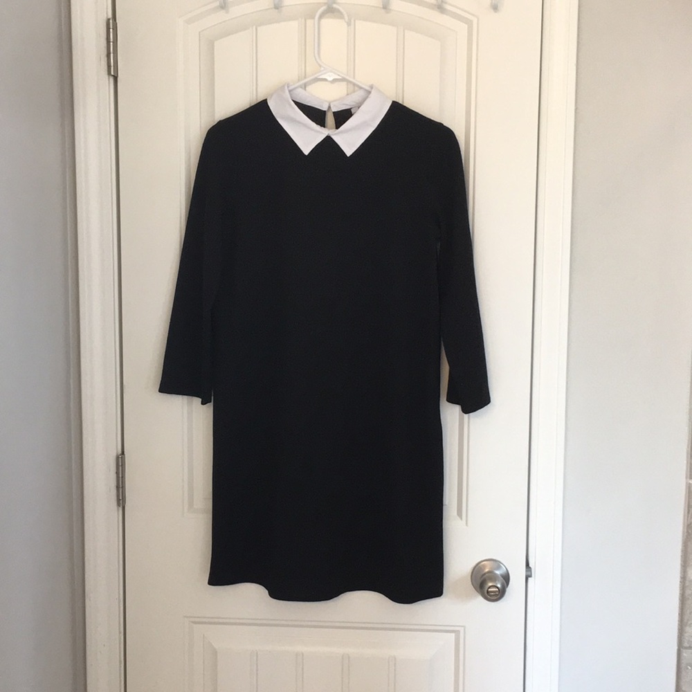 Zara Trafaluc size M Collared Dress